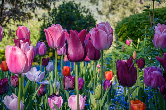 Crystal Hermitage Gardens surrounded by Sierra foothills