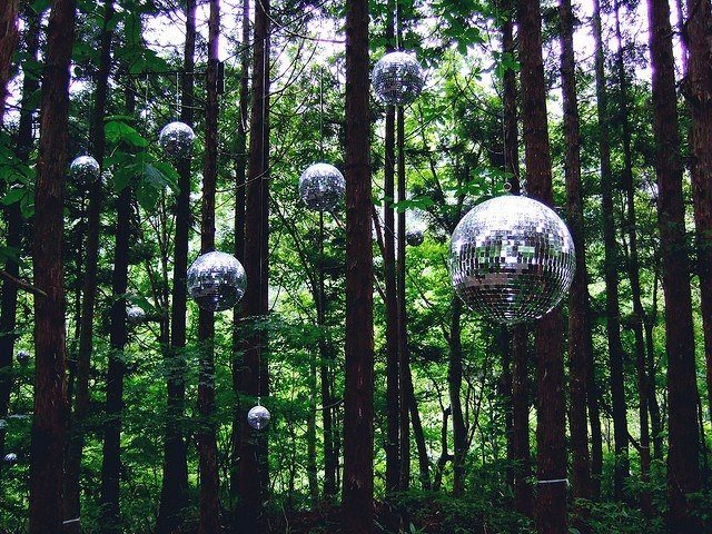 Private events in the forest
