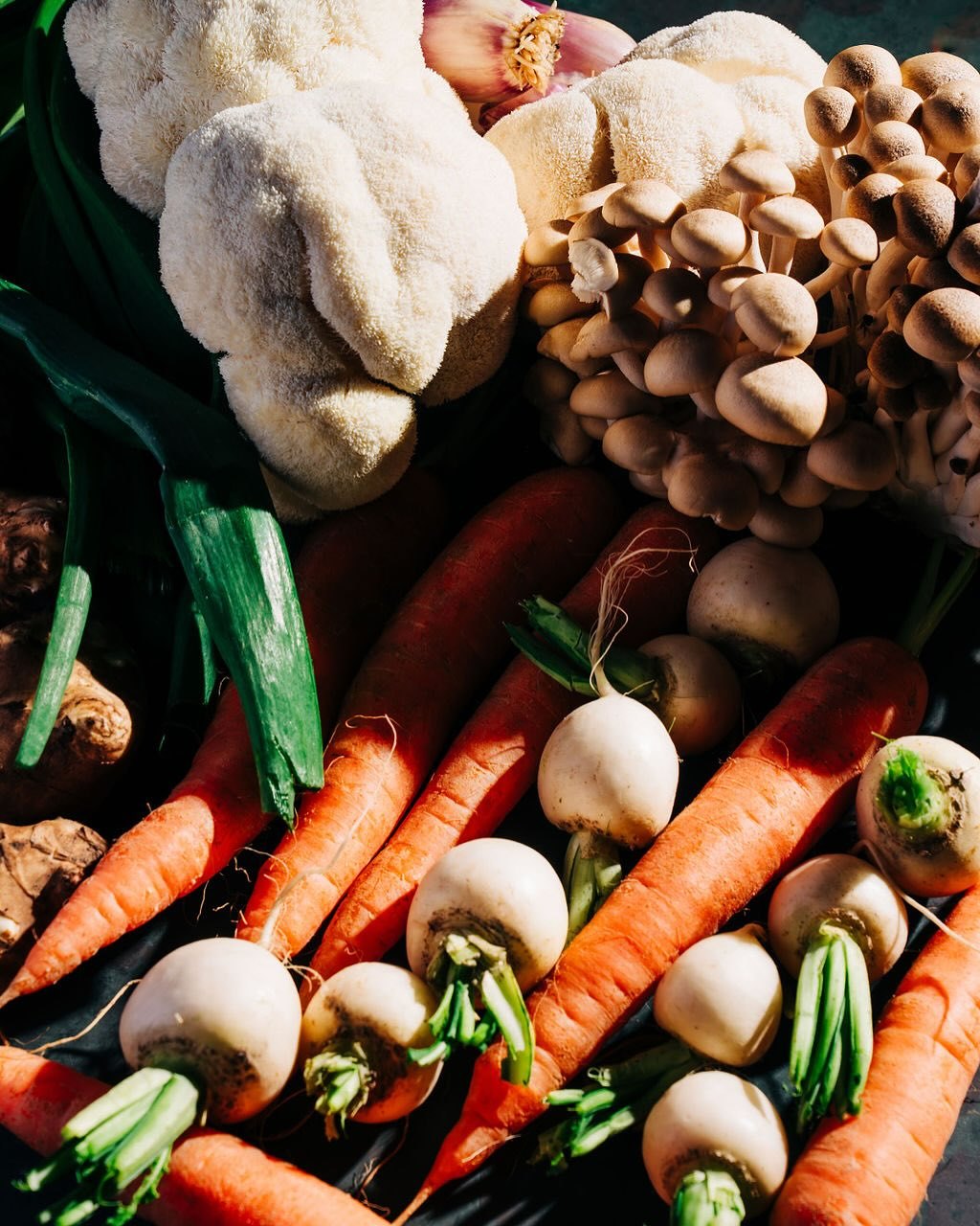 Fresh-pulled carrots, mushrooms, garlic and greens from the garden