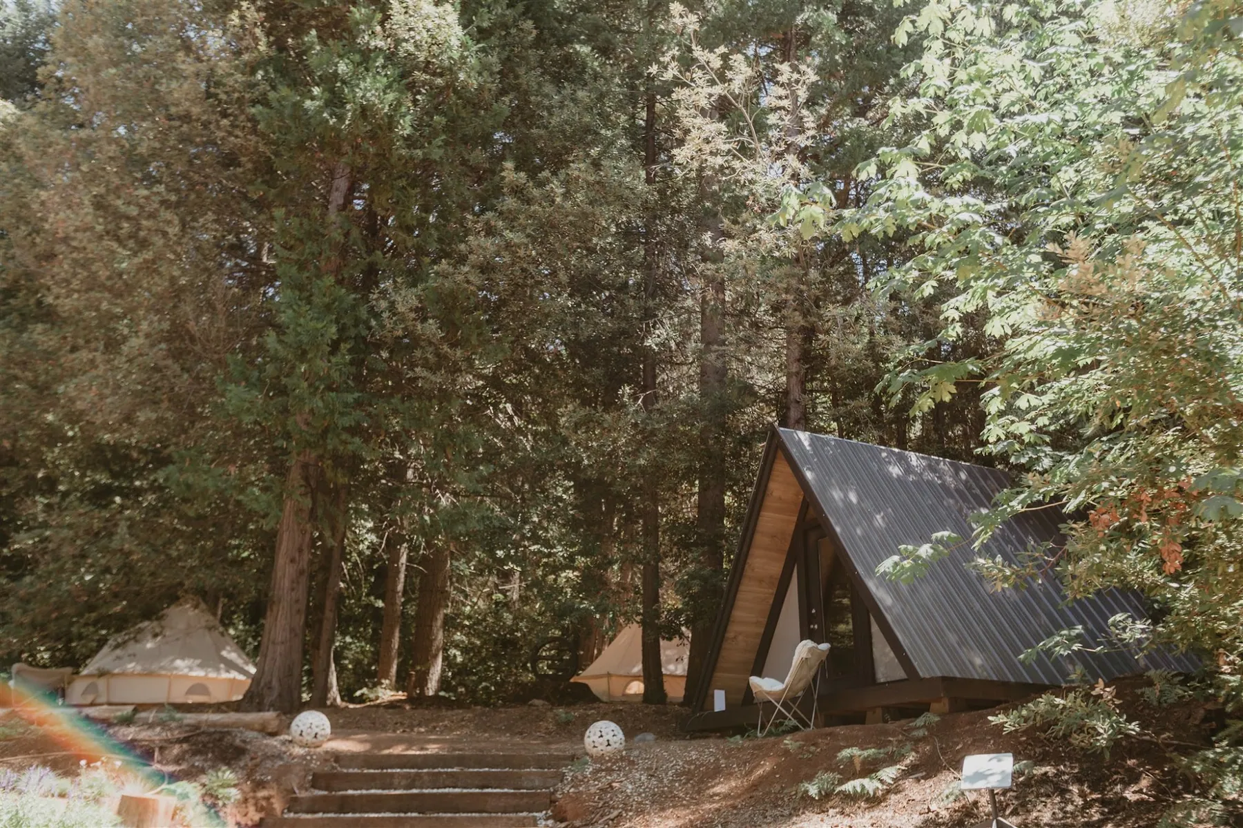 The A-frame cabin seen through tall conifers on the hillside