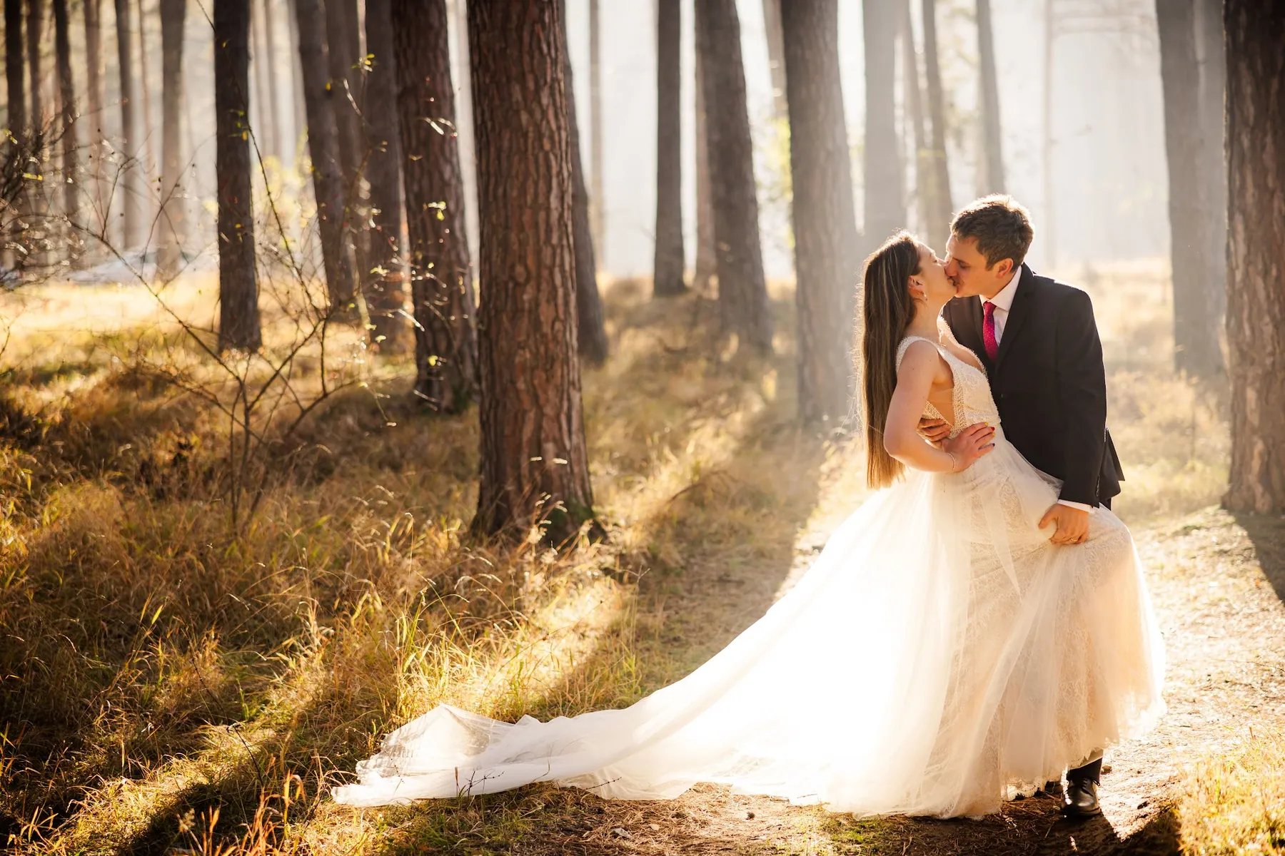 A bride and groom kissing among tall pines in low golden light
