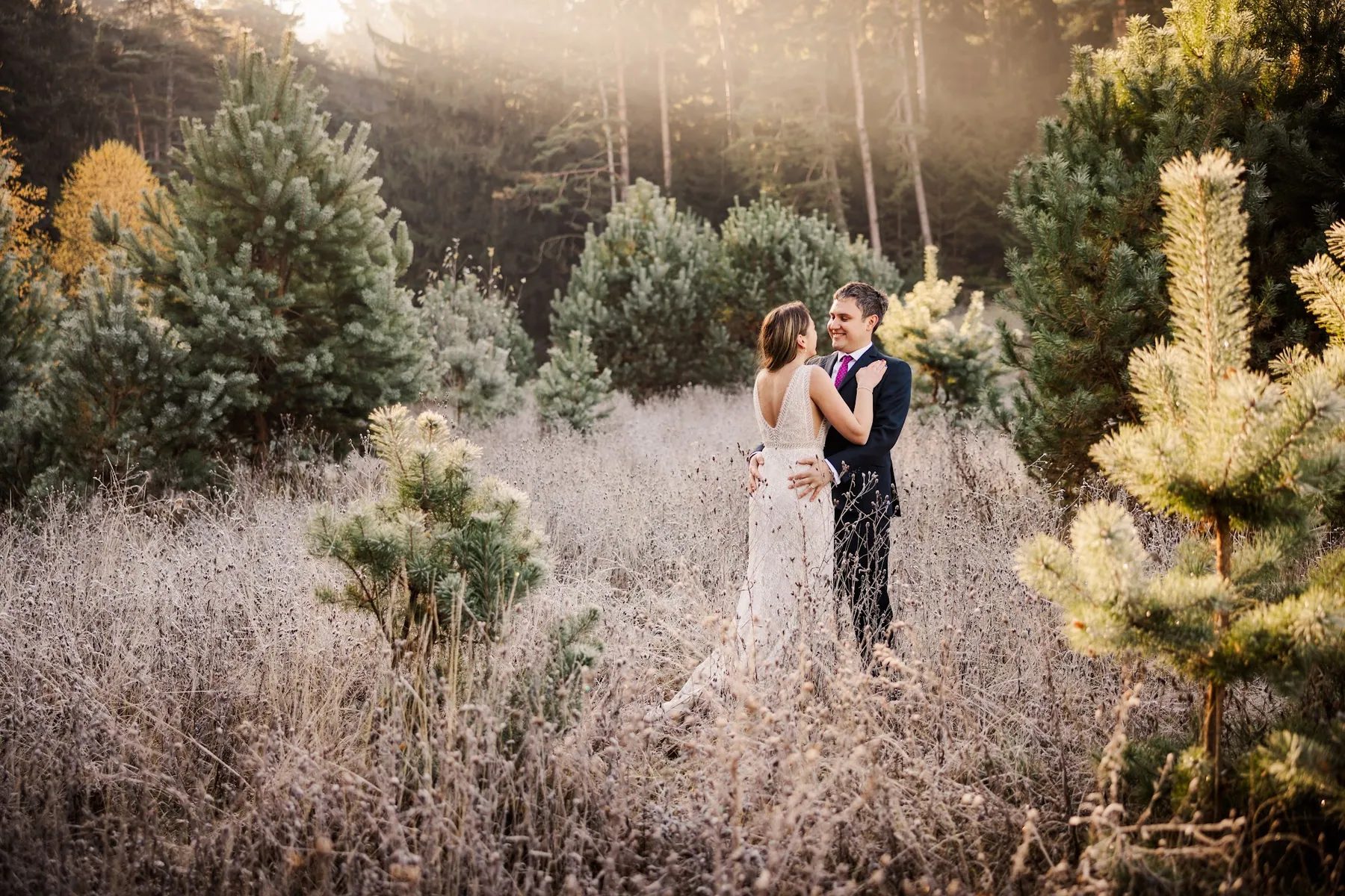 A couple standing together in a sunlit meadow of tall grass edged with pines