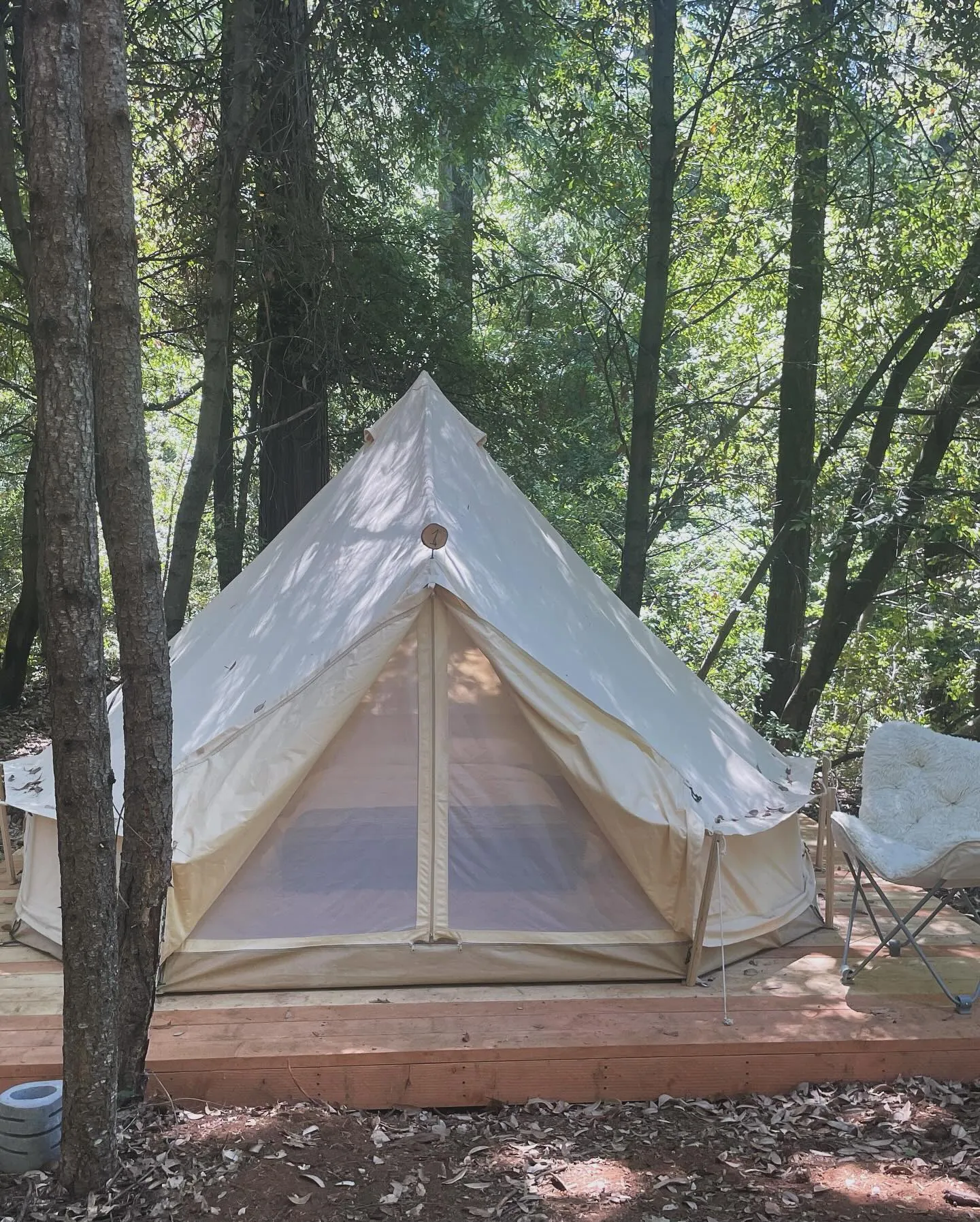A canvas bell tent pitched on a wooden platform among tall trees