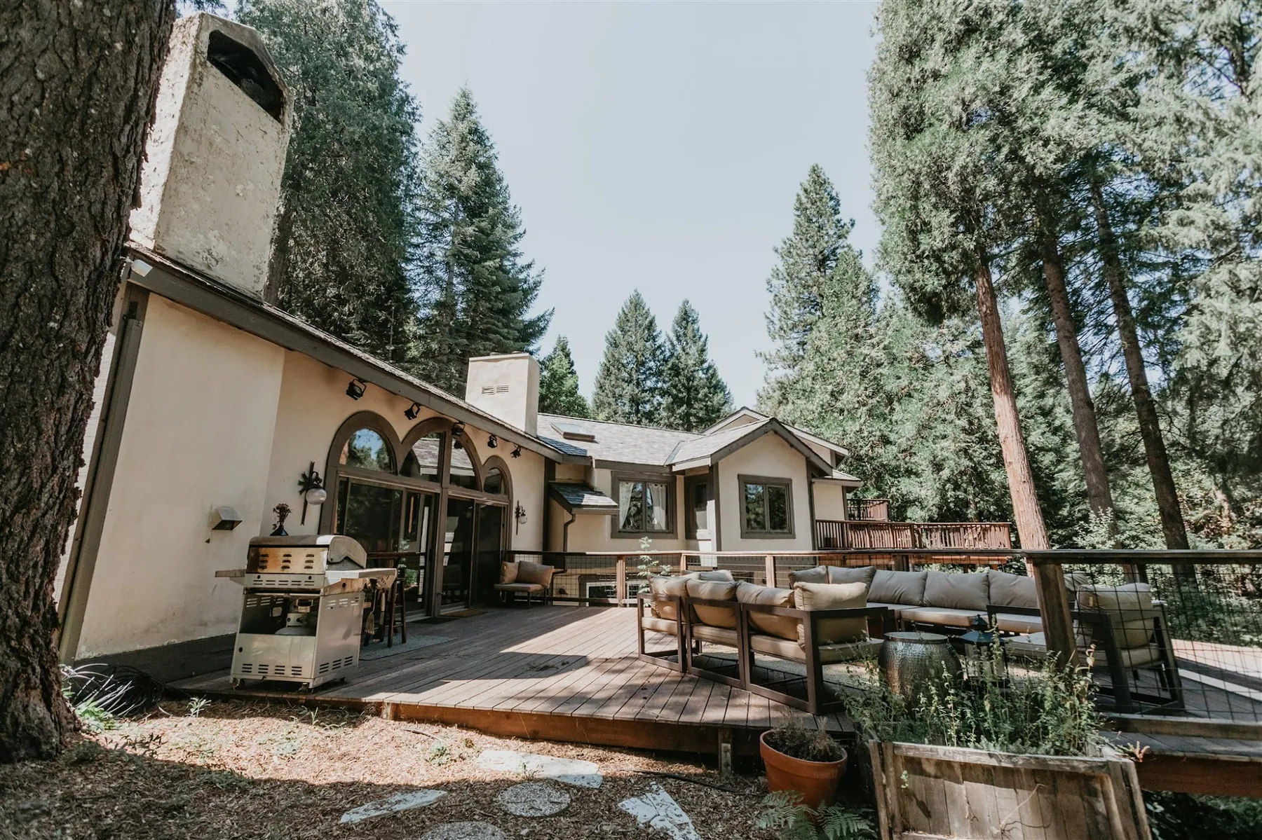 The lodge exterior with terraced patio seating and planters, tucked under tall pines