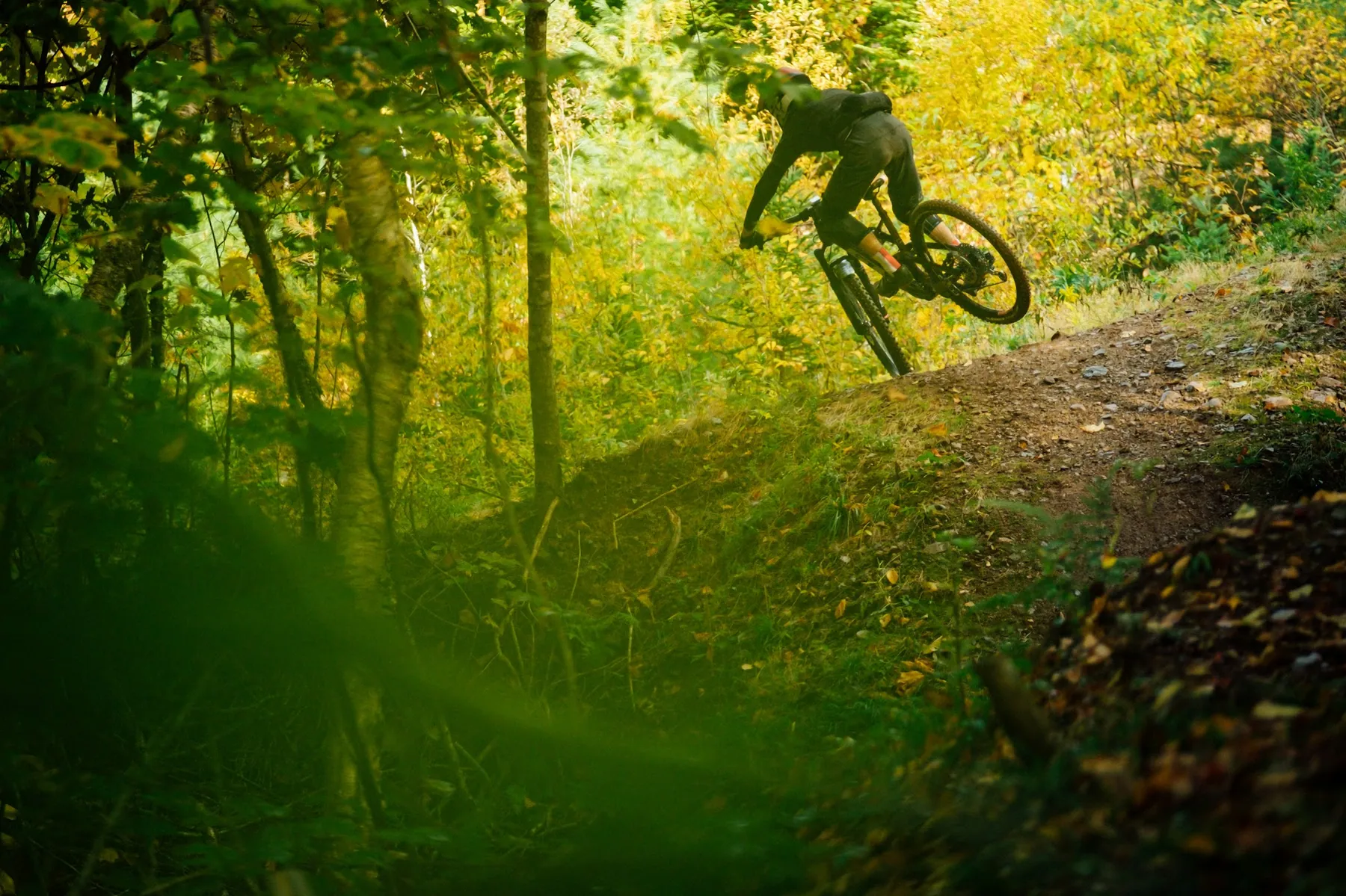 A mountain biker riding a trail through a sunlit forest
