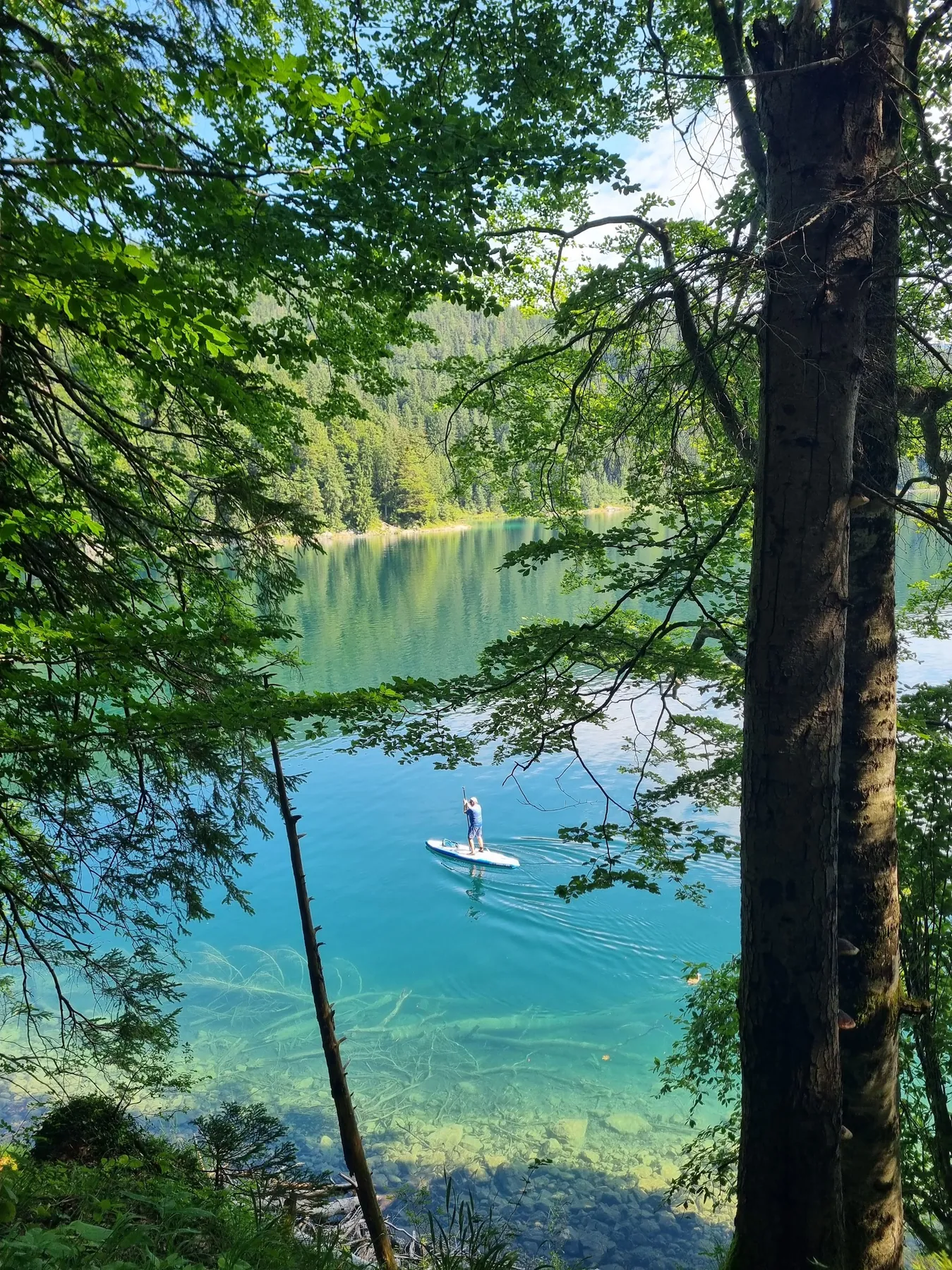 A paddleboarder crossing a clear lake, framed by trees on the shoreline