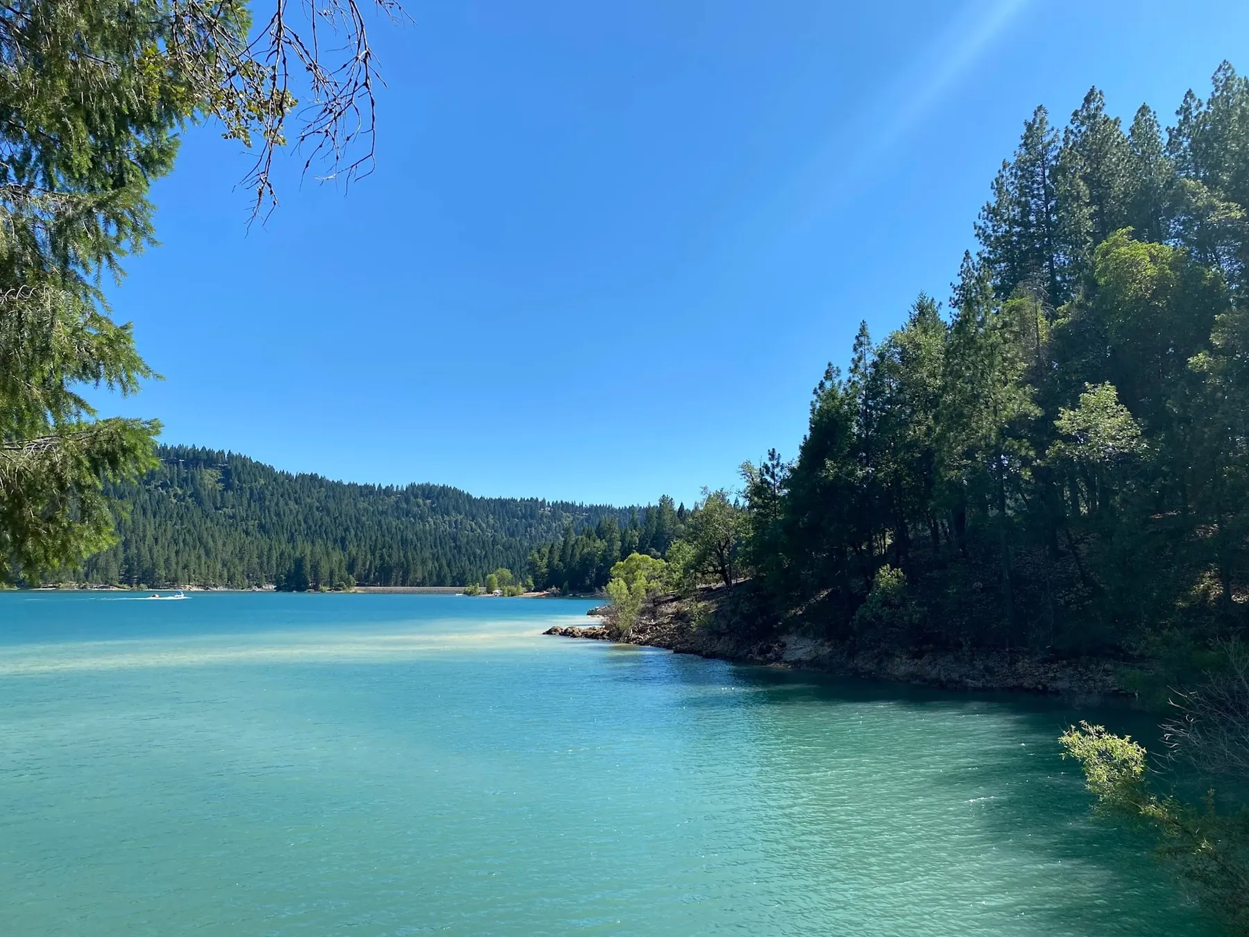 A calm Sierra lake edged by forested slopes under a clear sky