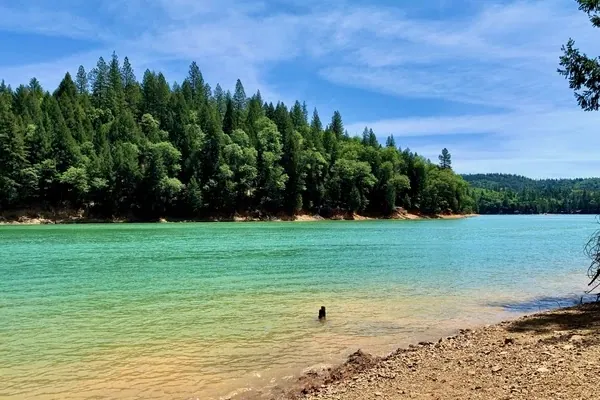 A swimmer wading into the shallows at Scott's Flat Lake