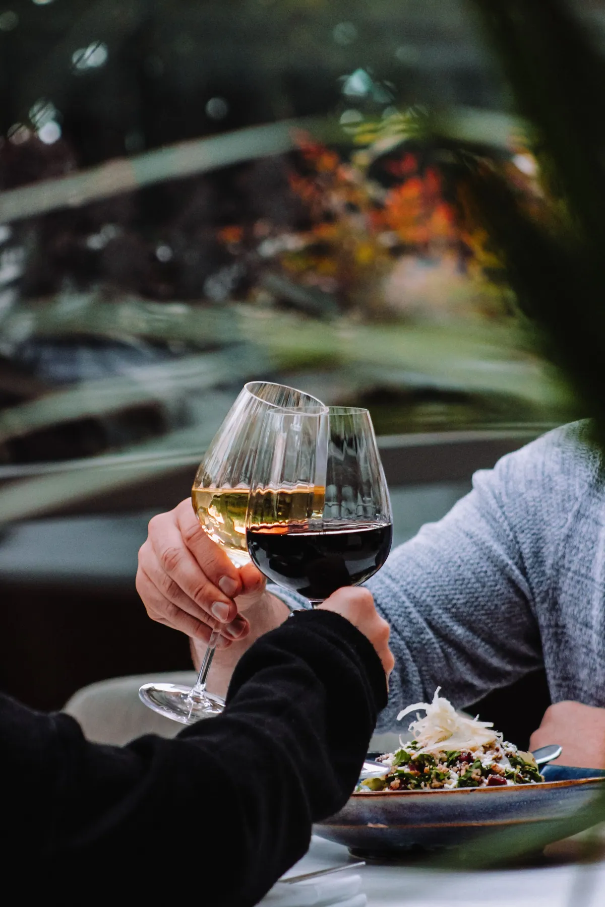 Two guests toasting glasses of wine over dinner