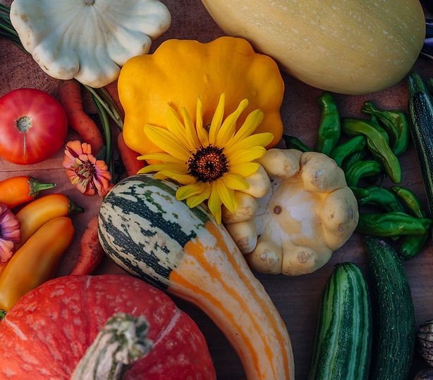 A chef gathering ingredients on the farm at Stone House Lodge